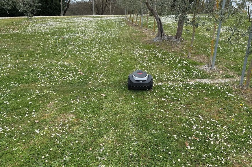 Roborock RockNeo Q1 Mähroboter Schnittbild gleichmäßiger Rasen nach dem Mähtest